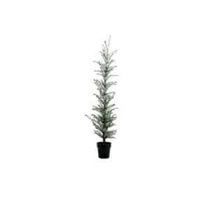 Juletræ, Flocked, Natur - 160 cm