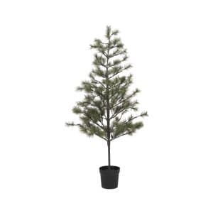 Juletræ, Peuce, Natur - 180 cm