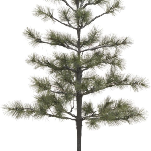 Peuce, Juletræ, natur, H125 cm