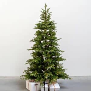 Sirius - Eric Juletræ 560 LED, 210cm, Varm Hvid