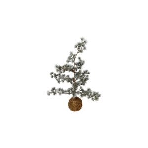 Juletræ Med Mosfod Grøn